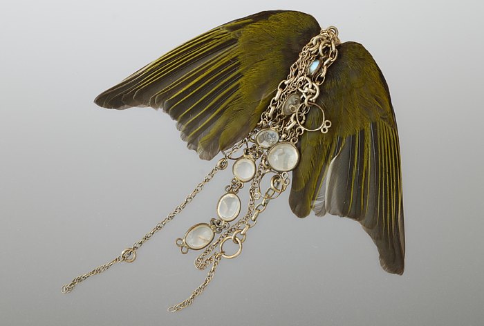 Philippa Crane, Zeitgeist Shrapnel